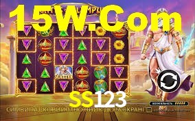 Premium Interface SS123